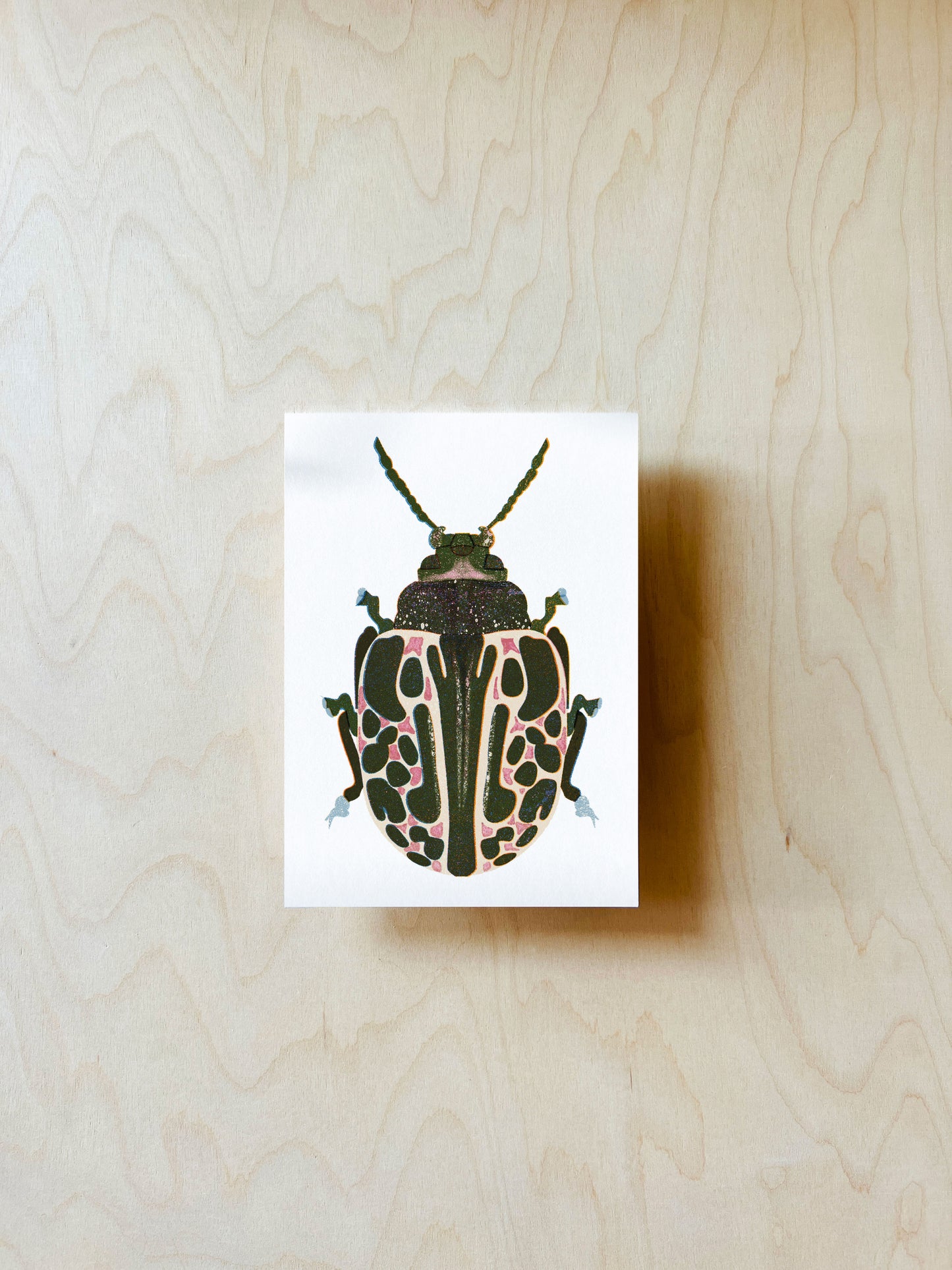Gefleckter Käfer Postkarte DIN A6