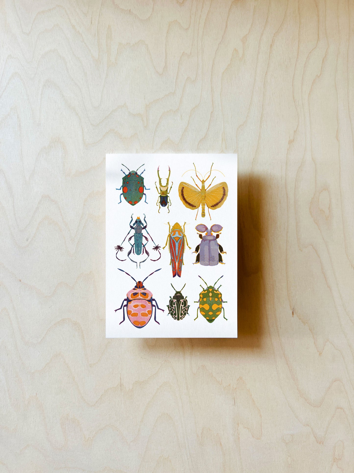 Käfer Mix Postkarte DIN A6