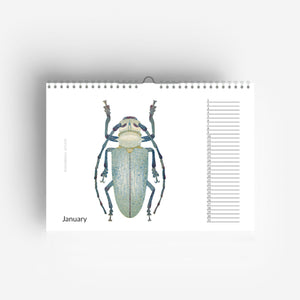 detail of Perpetual Birthday Bug Calendar jungwiealt