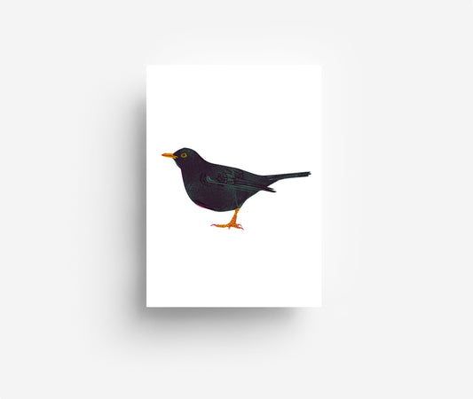 Vogel Postkarte Set (12 Karten) DIN A6