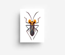 Laden Sie das Bild in den Galerie-Viewer, Bugs Postkarten Set (12 Karten) DIN A6