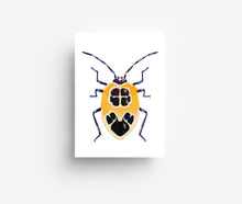 Laden Sie das Bild in den Galerie-Viewer, Käfer Postkarten Set (12 Karten) DIN A6