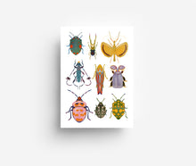 Laden Sie das Bild in den Galerie-Viewer, Bugs Mix Postkarte DIN A6