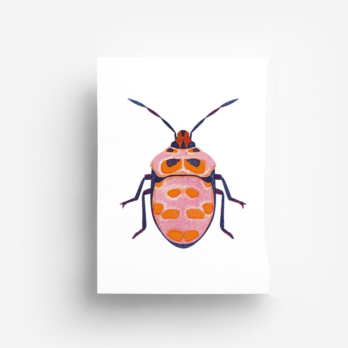 Pink Bug DIN A4 Print jungwiealt