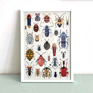 framed Bugs Mix Digital Print DIN A3 jungwiealt
