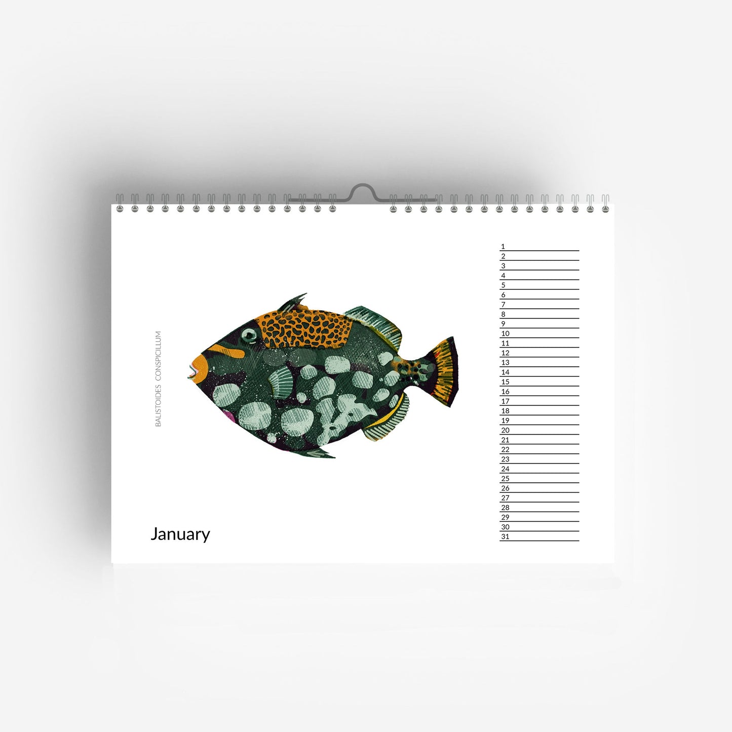 Tropische Fische Immerwährender Geburtstagskalender