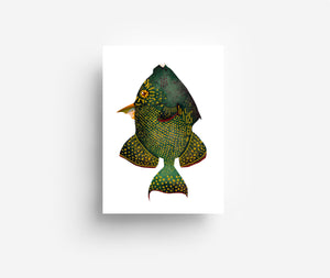 Tropical Fish Postcard Set (12 Cards) DIN A6