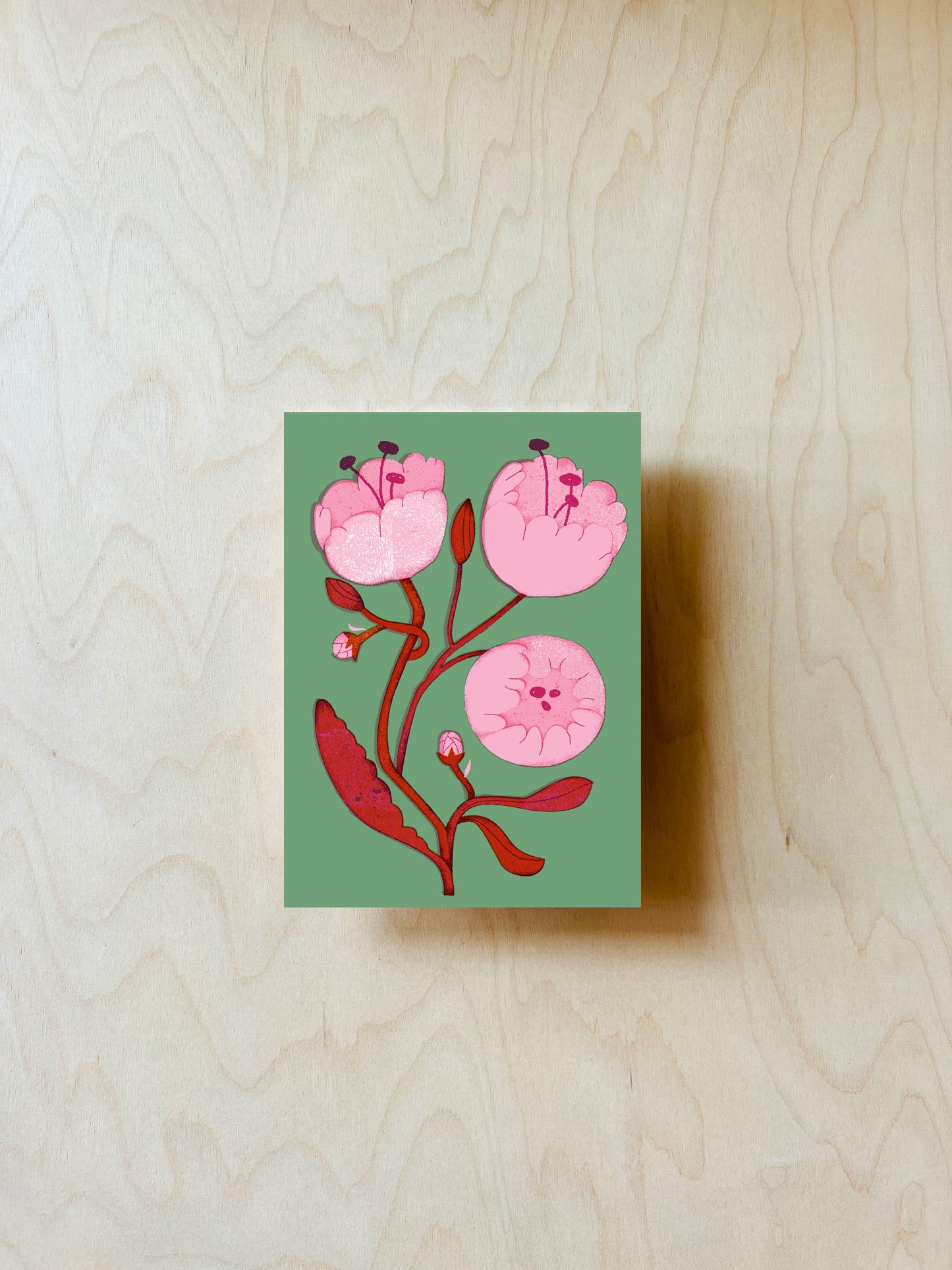 Pfingstrosen Postkarte DIN A6