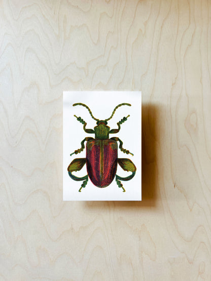 Türkiser Käfer Postkarte DIN A6