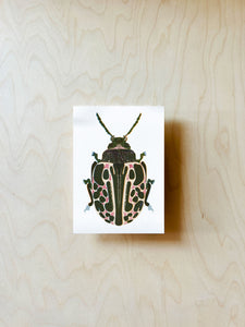 Spotted Bug Postcard DIN A6