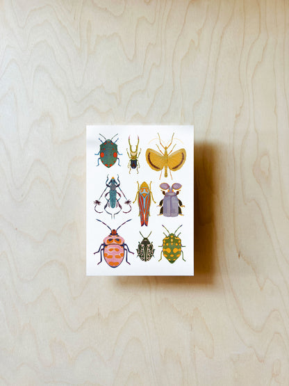 Käfer Mix Postkarte DIN A6