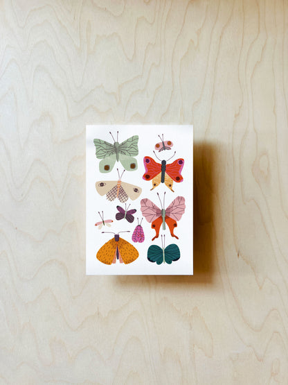 Schmetterlinge Postkarte DIN A6