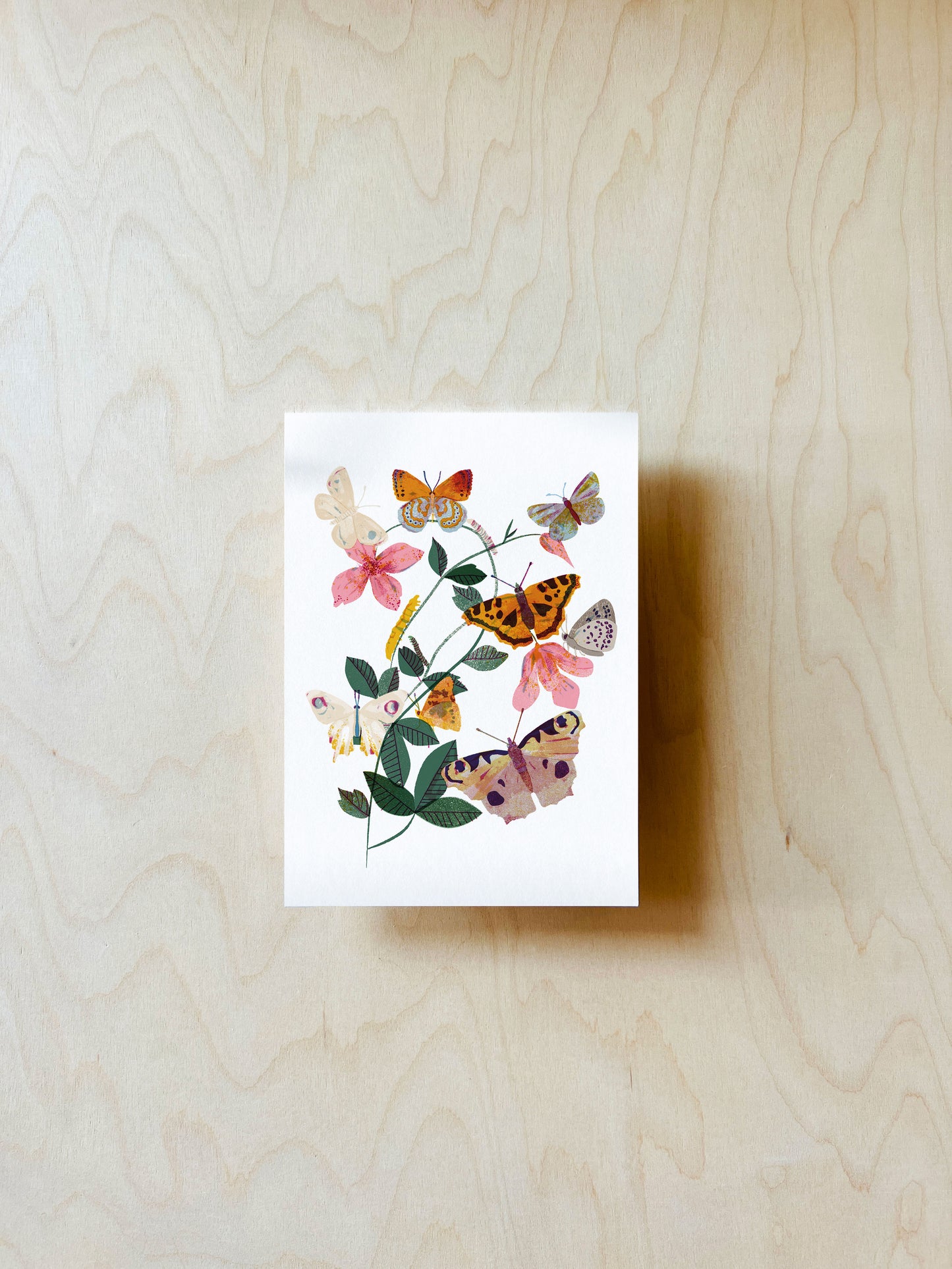 Schmetterlingsblume Postkarte DIN A6