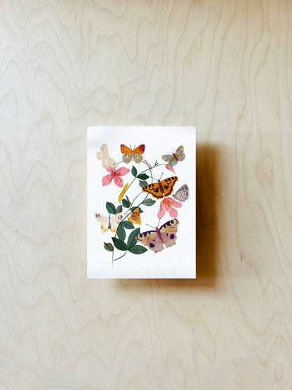 Schmetterlingsblume Postkarte DIN A6