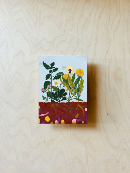 Kräuter Postkarte DIN A6