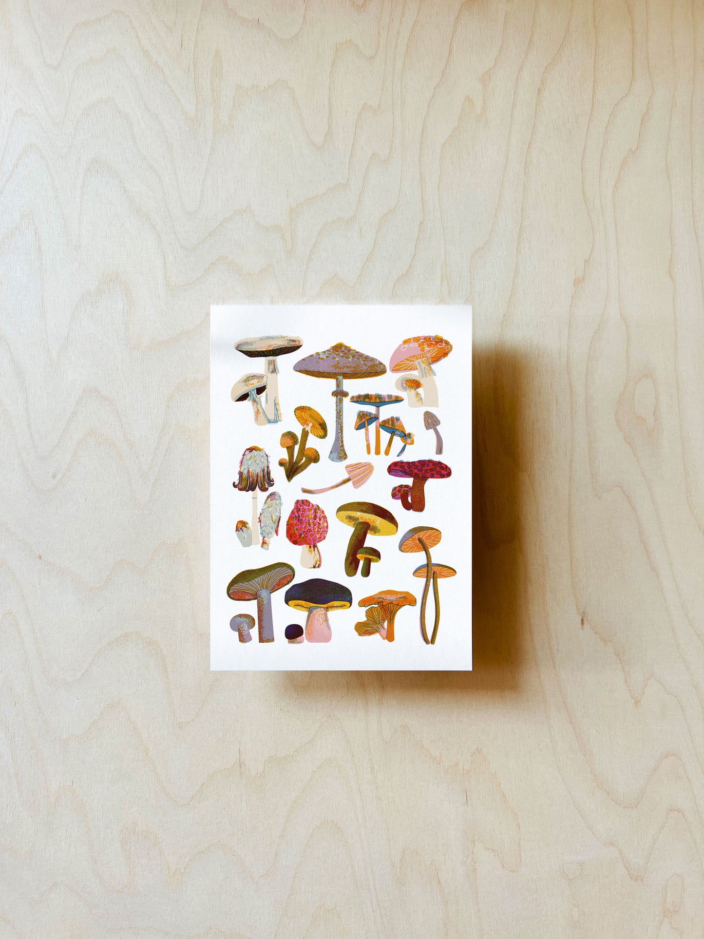 Pilze Postkarte DIN A6