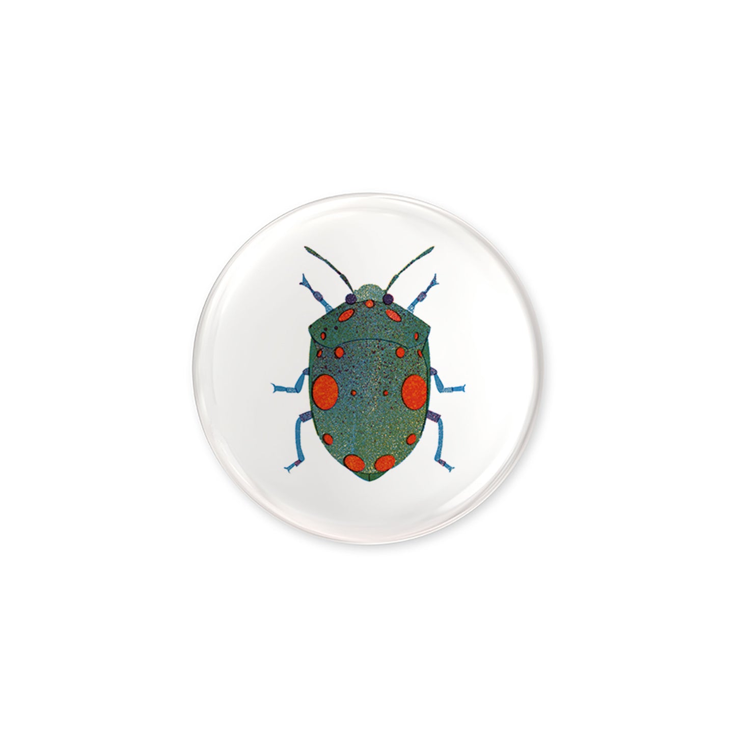 Bug Button jungwiealt