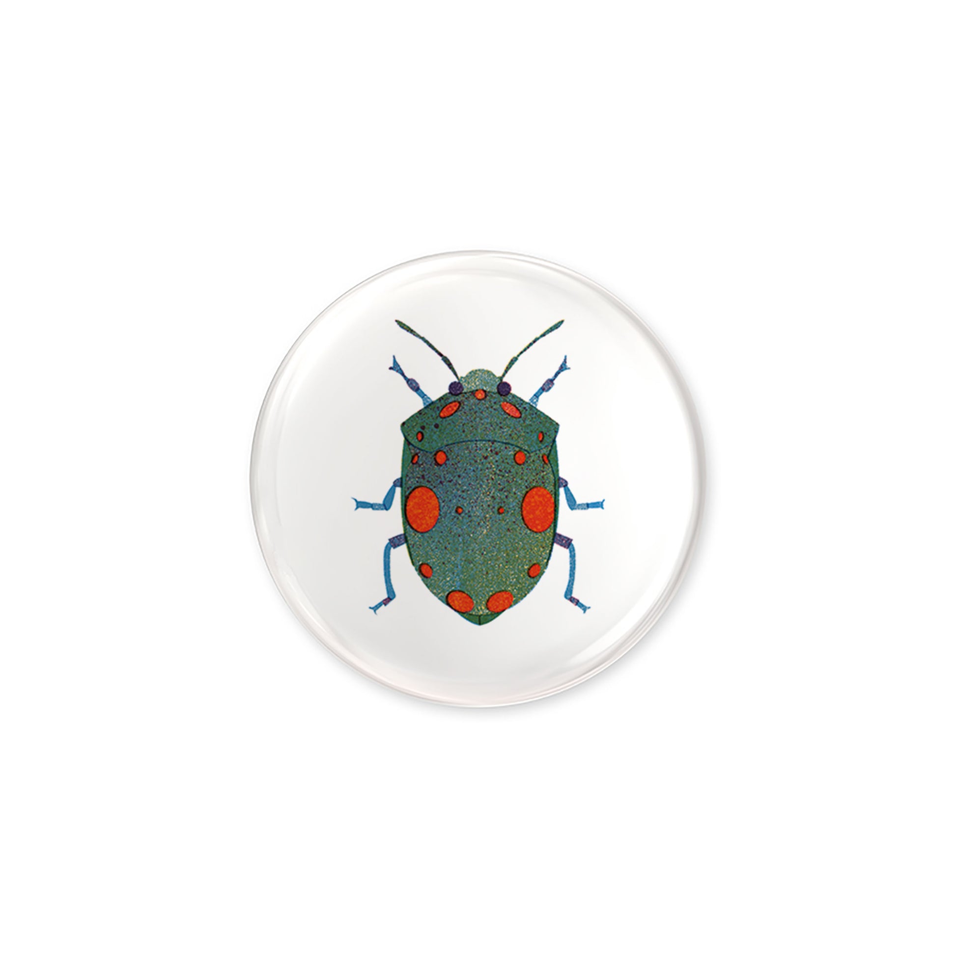 Bug Button jungwiealt