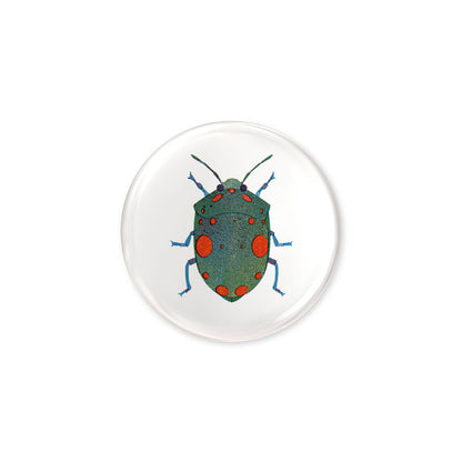 Bug Button jungwiealt