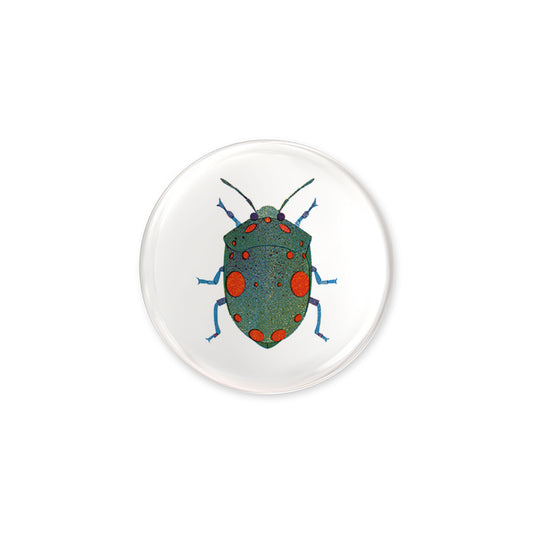 Bug Button jungwiealt