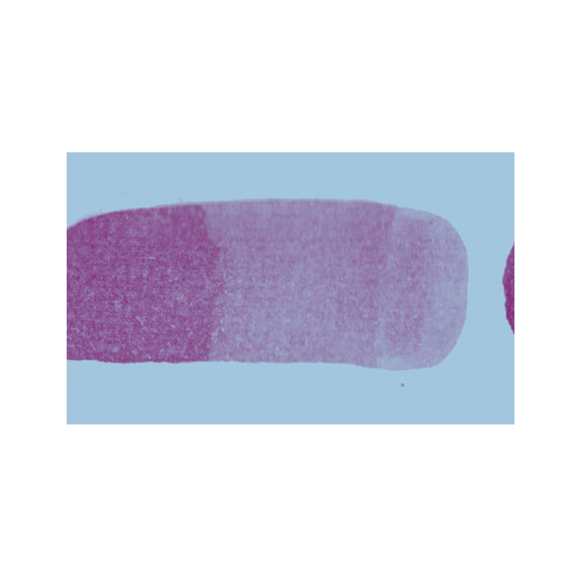 Strokes Washi Tape jungwiealt