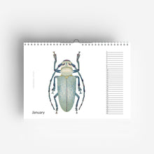 Laden Sie das Bild in den Galerie-Viewer, detail of Perpetual Birthday Bug Calendar jungwiealt