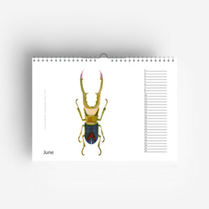 detail of Perpetual Birthday Bug Calendar jungwiealt