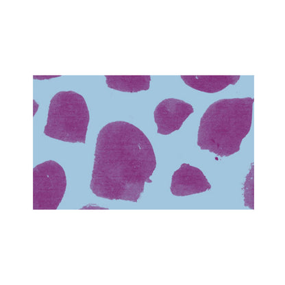 Dots Washi Tape jungwiealt
