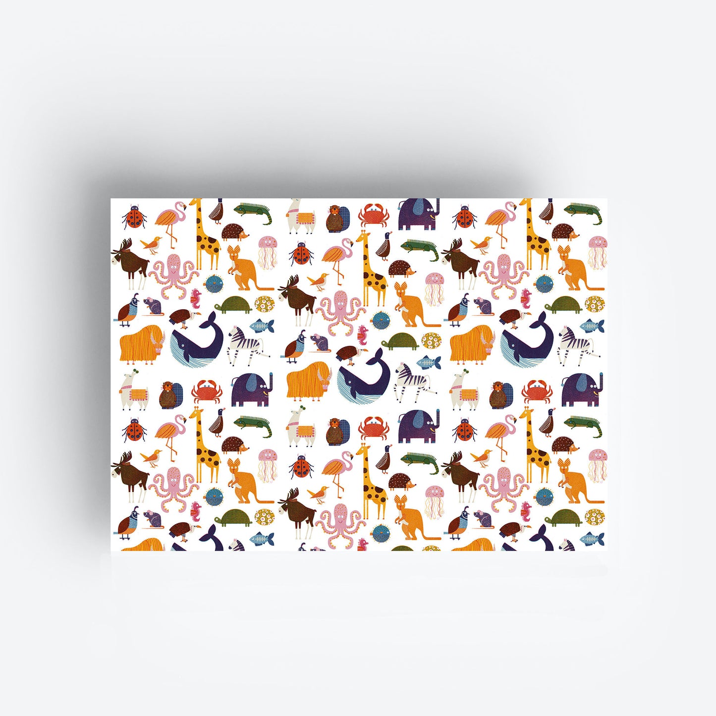 Animals Gift Wrap Set jungwiealt 