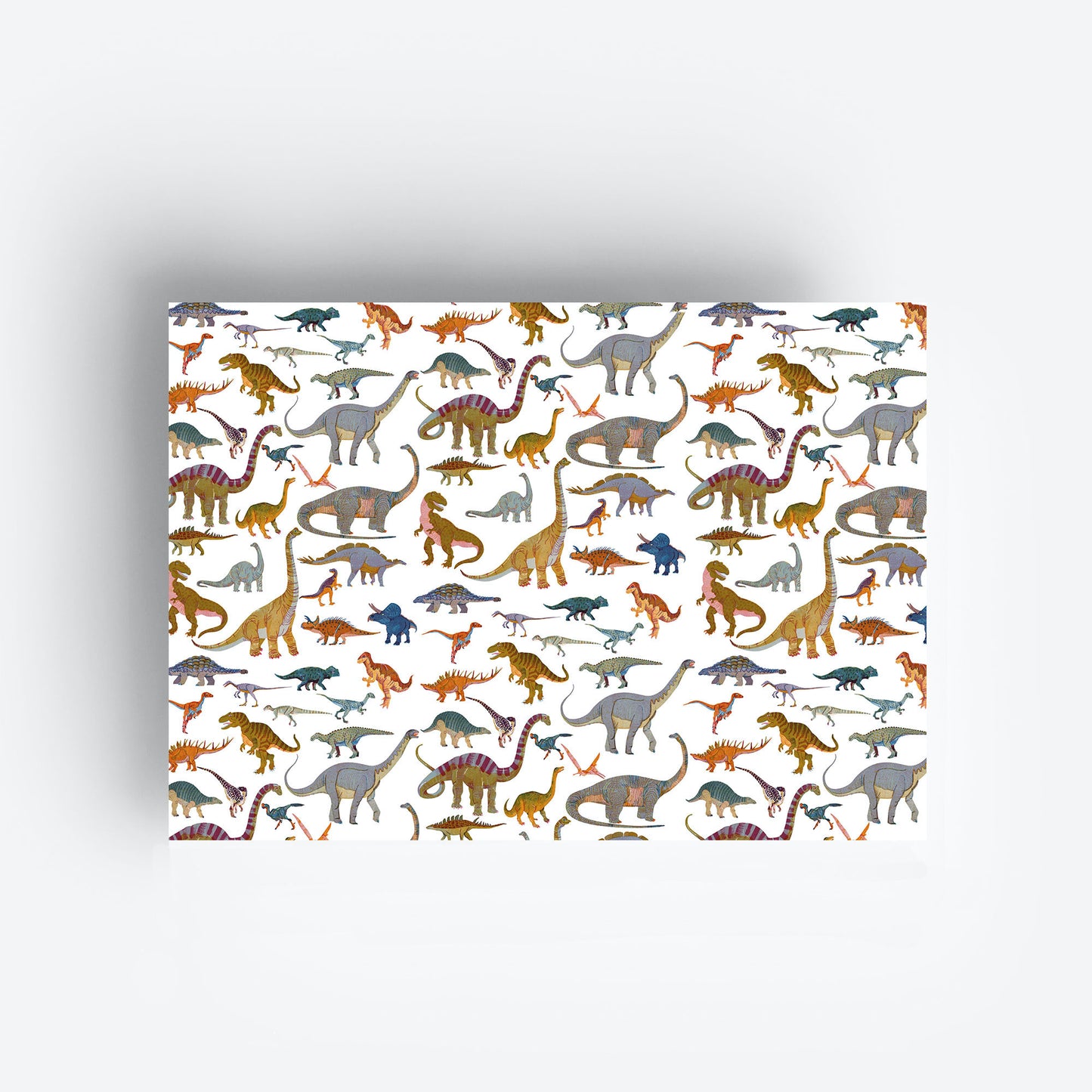 Dinosaurs Gift Wrap Set jungwiealt