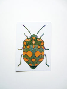 Green Bug Postkarte DIN A6