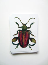 Load image into Gallery viewer, Legged Bug Postcard DIN A6