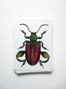 Legged Bug Postcard DIN A6