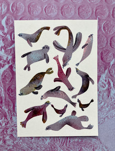 Seals Postcard DIN A6