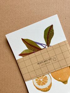 Früchte Postkarten Set (12 Karten) DIN A6
