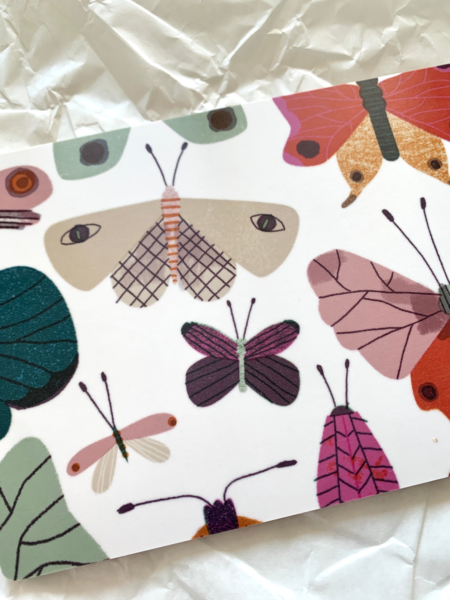 detail of Butterfly Breakfast Plate jungwiealt