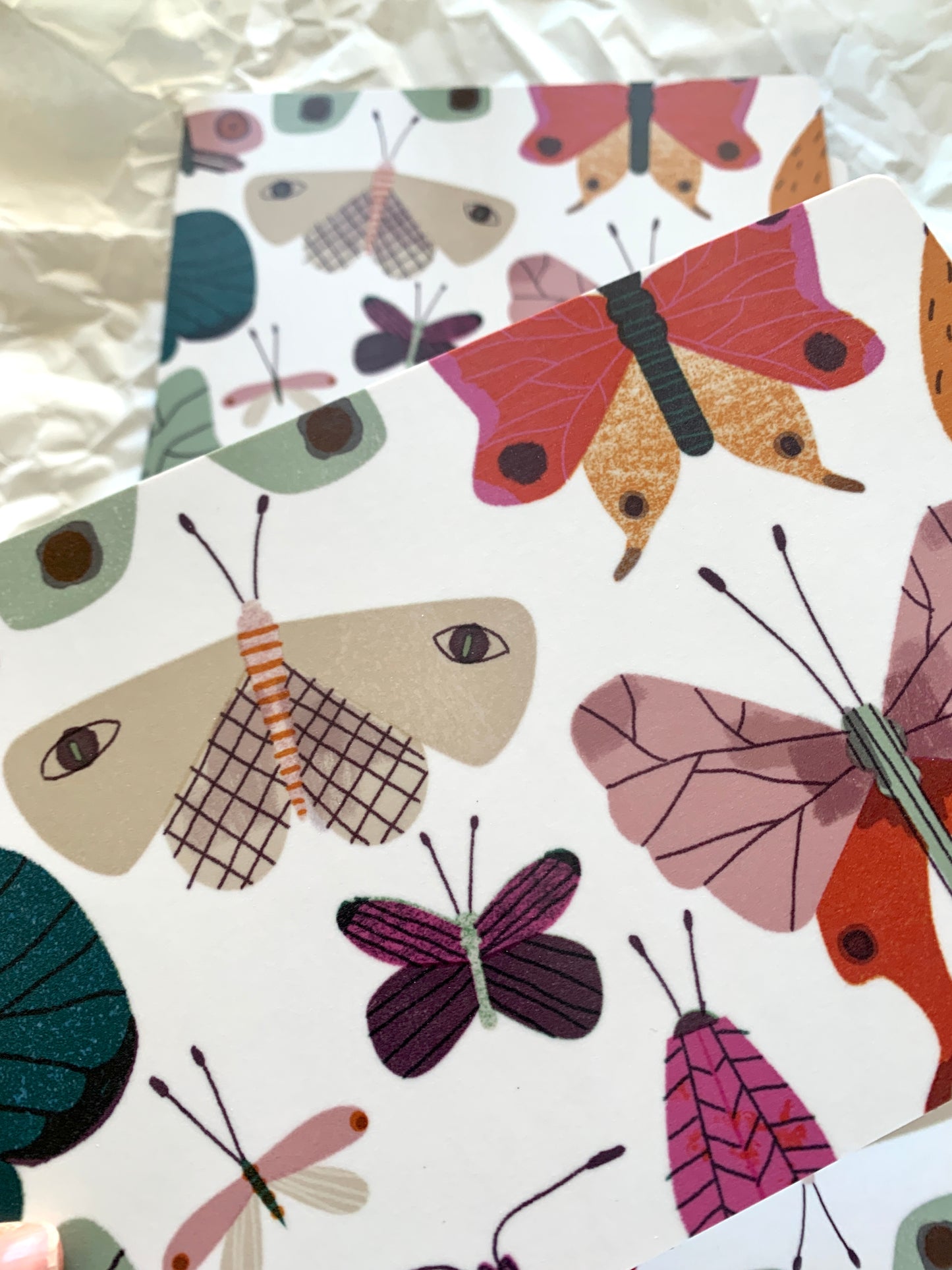 detail of Butterfly Breakfast Plate jungwiealt