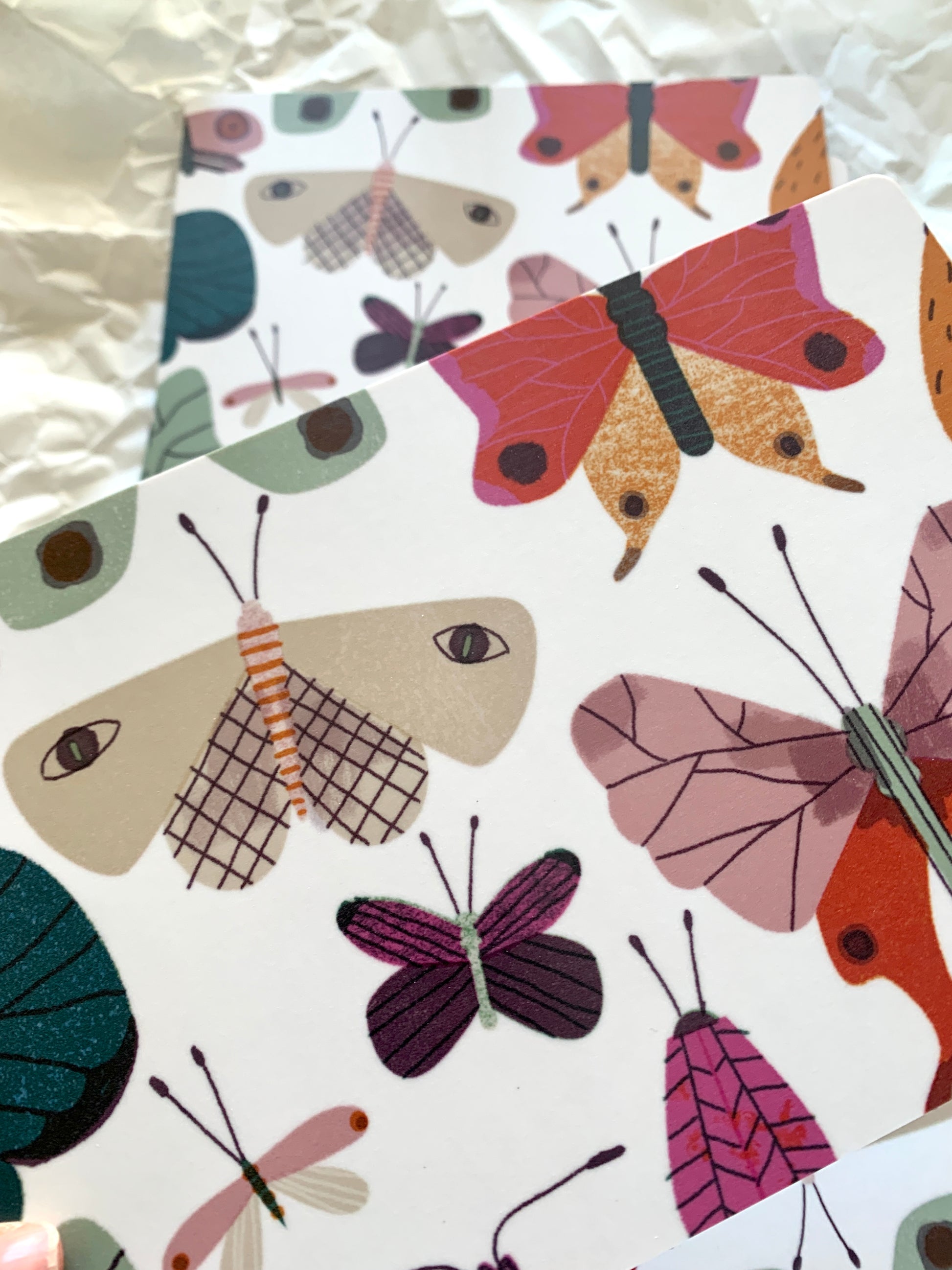 detail of Butterfly Breakfast Plate jungwiealt