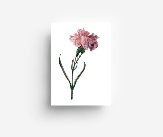 Blumen Postkarten Set (12 Karten) DIN A6