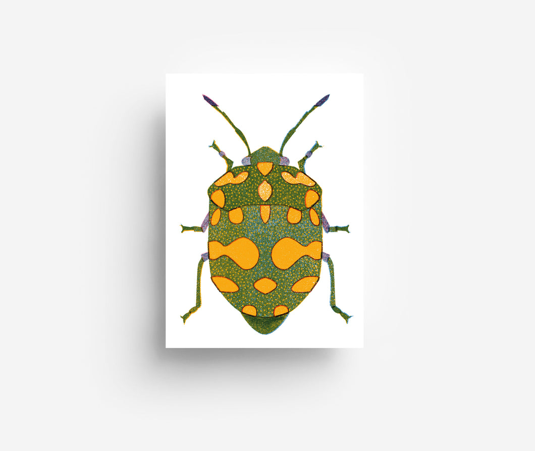 Green Bug Postkarte DIN A6