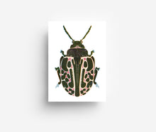 Load image into Gallery viewer, Spotted Bug Postcard DIN A6