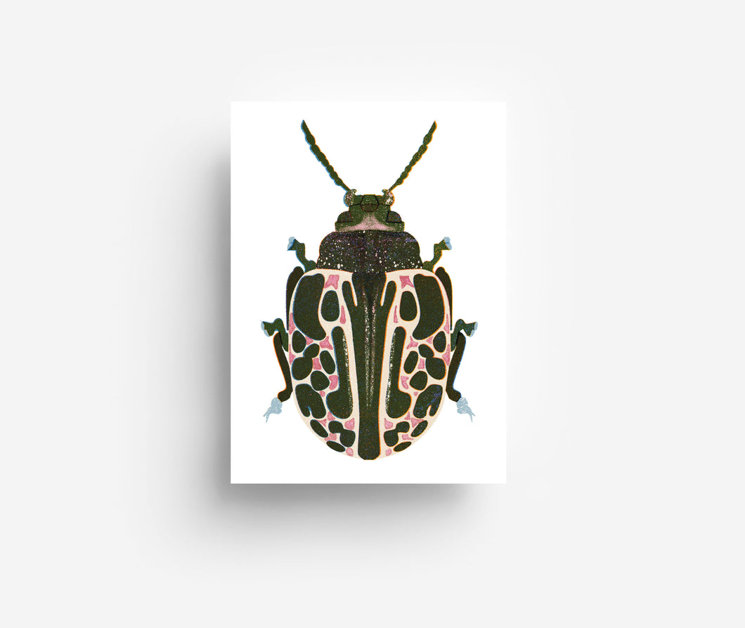 Spotted Bug Postcard DIN A6