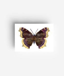 Schmetterlings Postkarten Set (12 Karten) DIN A6