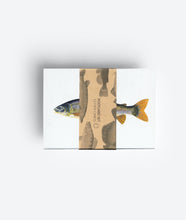 Load image into Gallery viewer, Fish Bundle jungwiealt