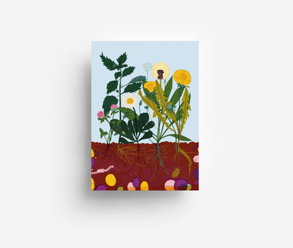Kräuter Postkarte DIN A6