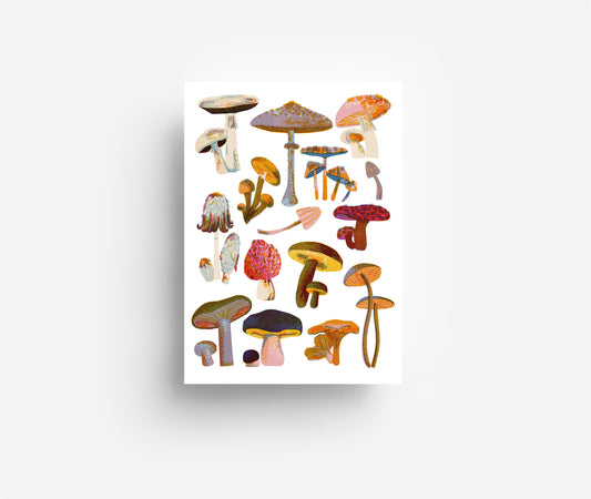 Pilze Postkarte DIN A6