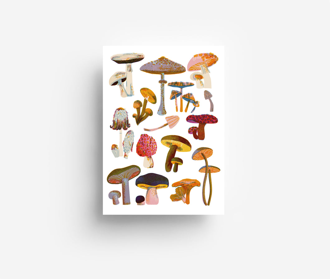 Mushrooms Postcard DIN A6
