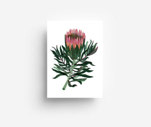 Flower Postcard Set (12 Cards) DIN A6