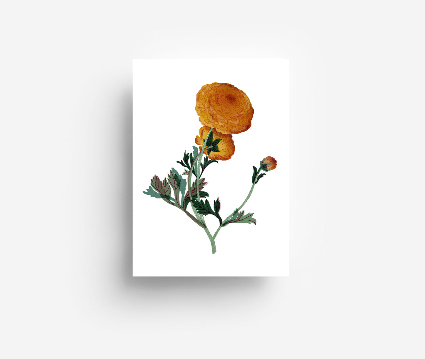 Blumen Postkarten Set (12 Karten) DIN A6