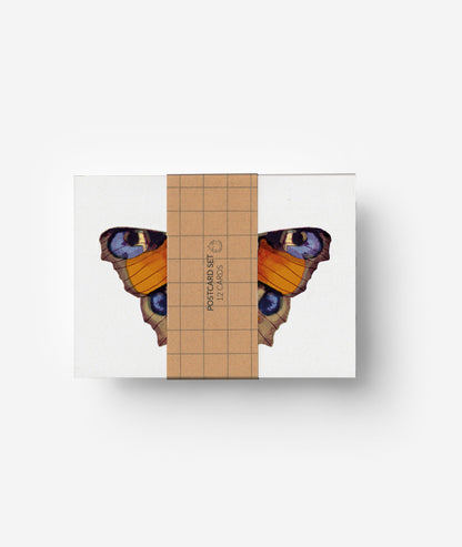 Schmetterlinge Postkarten Set (12 Karten) DIN A6